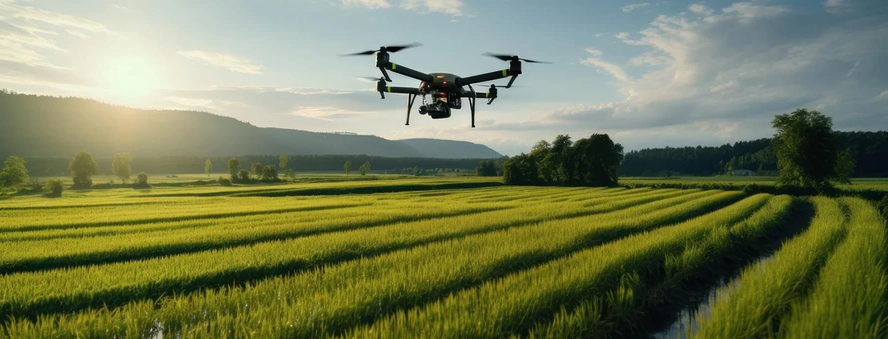 Supply Chain & Traceability