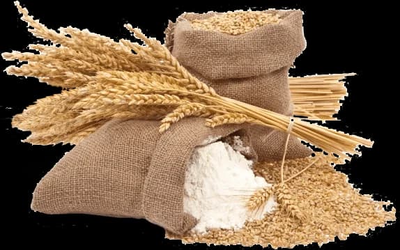 Grains and flour sack illustration