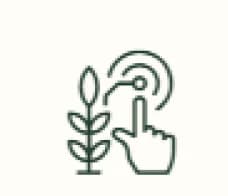 Precision Agriculture