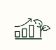 Sustainable Growth
